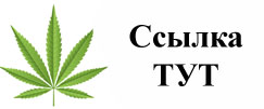 Купить наркотики в Орехово-Зуево